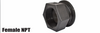Terremax Manifold Flange Female NPT Fittings